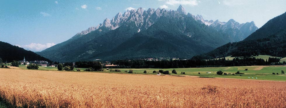Korn Unser Dinkelacker; im Hintergrund Toblach mit Neuner-Gruppe